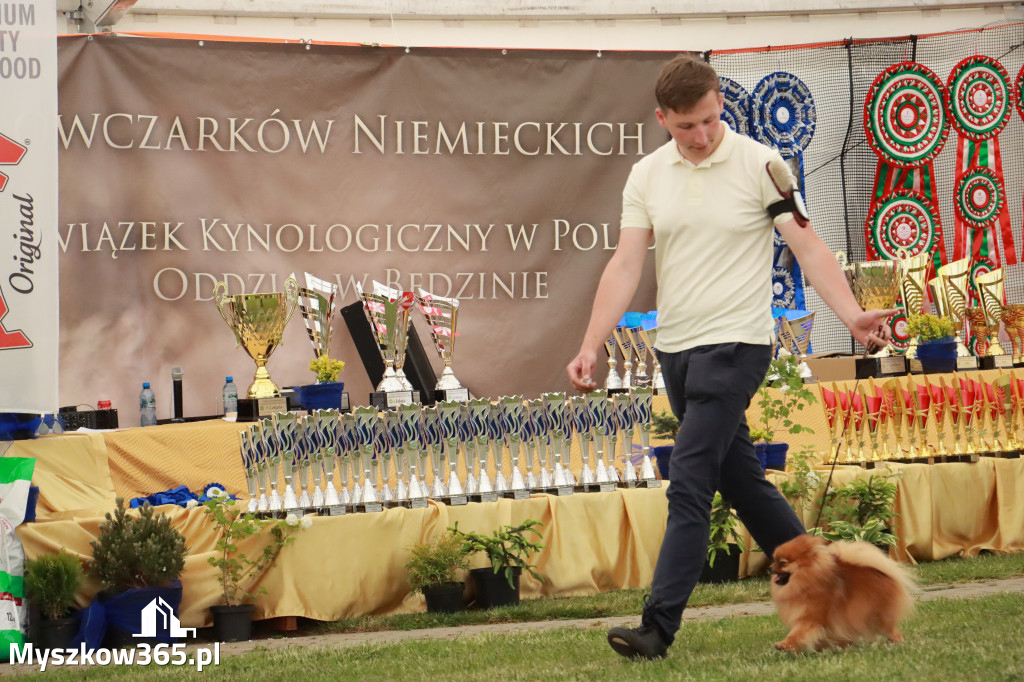 Fotorelacja - Wystawa Psów Rasowych GNIAZDÓW 2024r. SOBOTA I