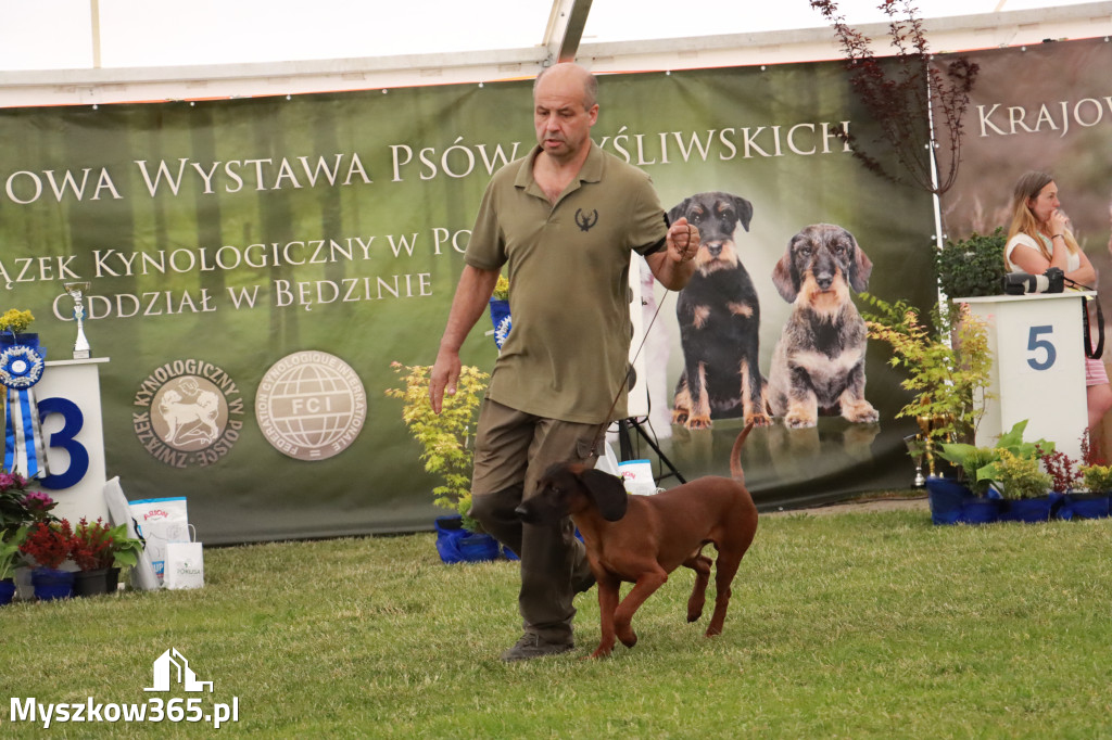 Fotorelacja - Wystawa Psów Rasowych GNIAZDÓW 2024r. SOBOTA I