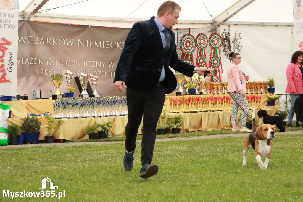 Fotorelacja - Wystawa Psów Rasowych GNIAZDÓW 2024r. SOBOTA I