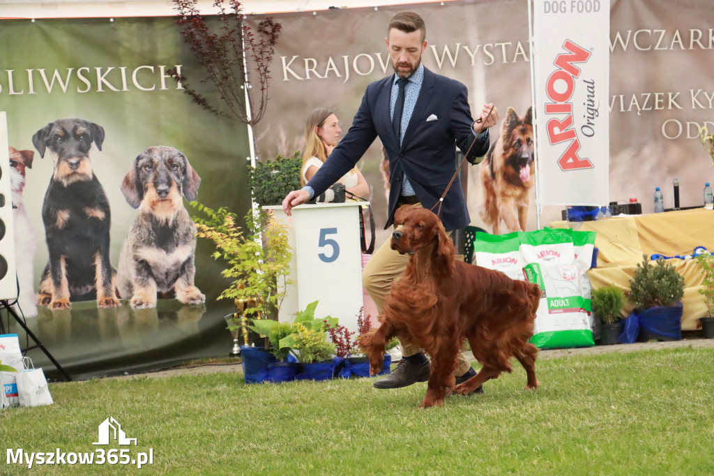 Fotorelacja - Wystawa Psów Rasowych GNIAZDÓW 2024r. SOBOTA I