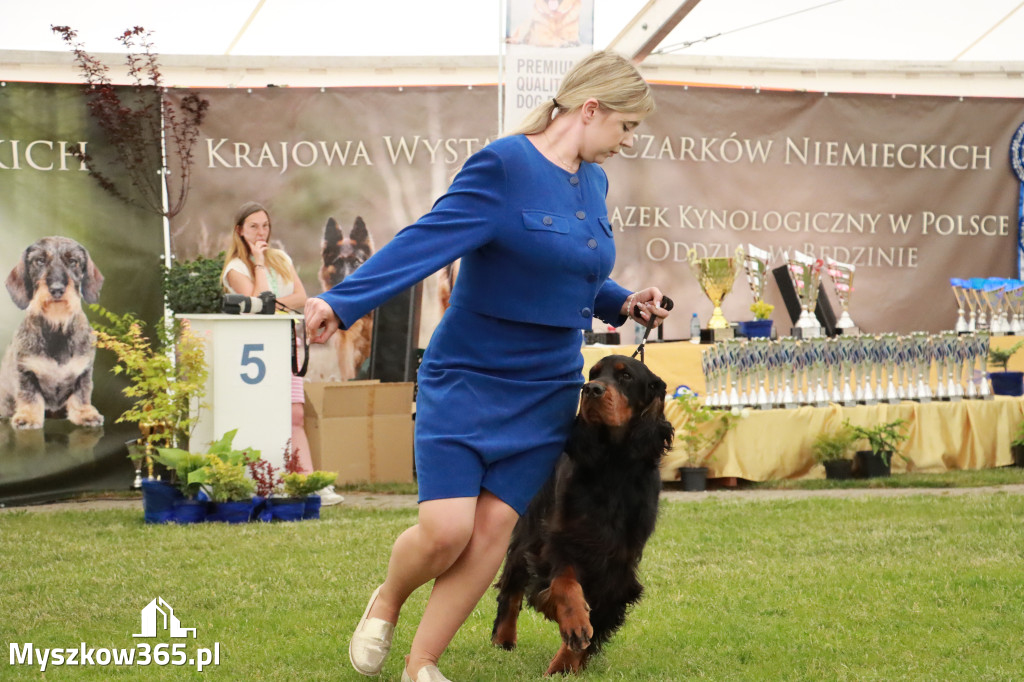 Fotorelacja - Wystawa Psów Rasowych GNIAZDÓW 2024r. SOBOTA I