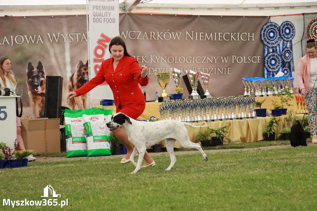 Fotorelacja - Wystawa Psów Rasowych GNIAZDÓW 2024r. SOBOTA I