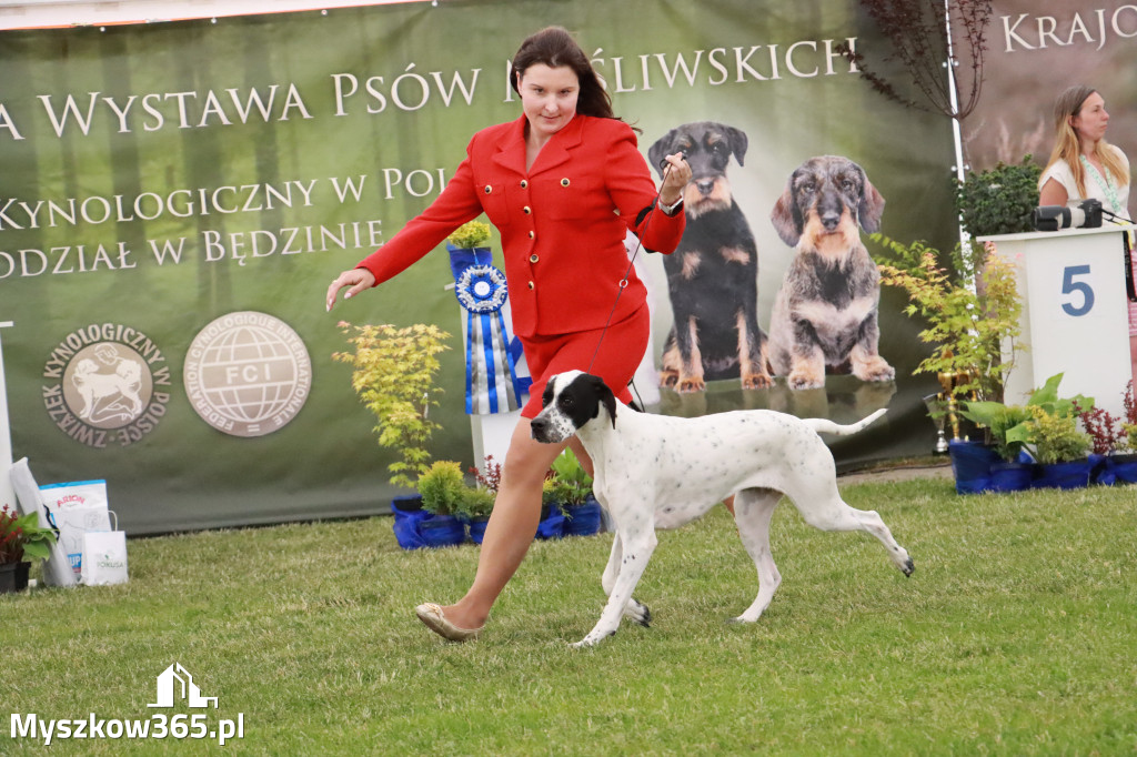 Fotorelacja - Wystawa Psów Rasowych GNIAZDÓW 2024r. SOBOTA I