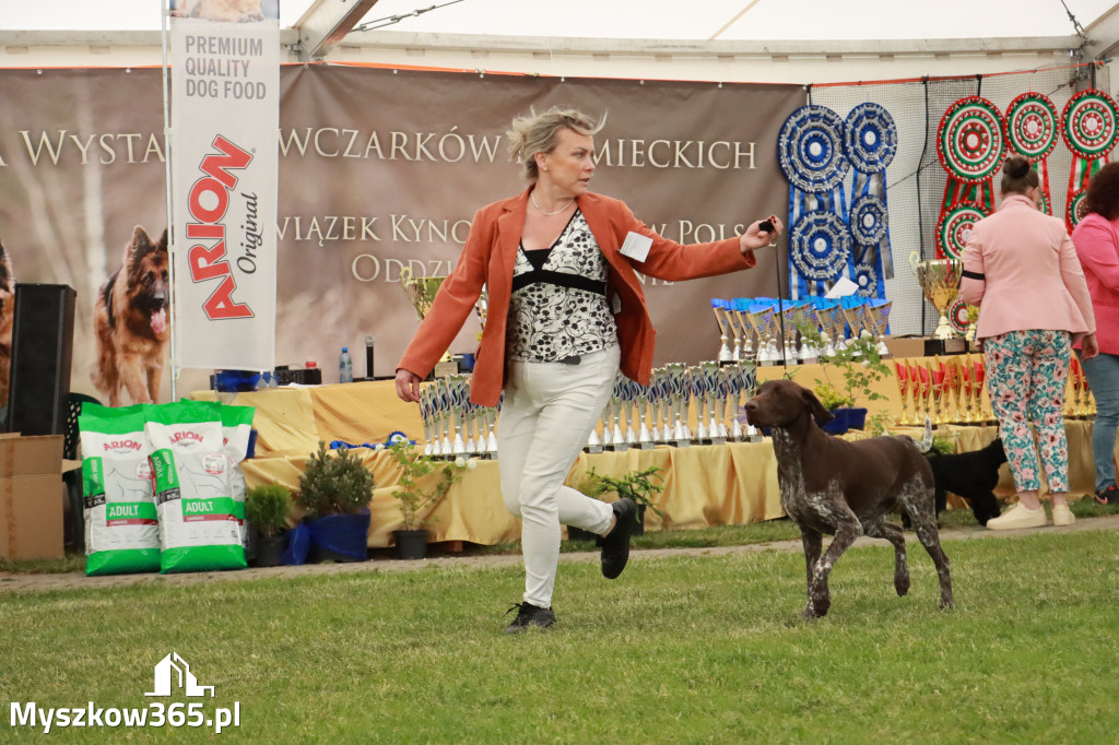 Fotorelacja - Wystawa Psów Rasowych GNIAZDÓW 2024r. SOBOTA I