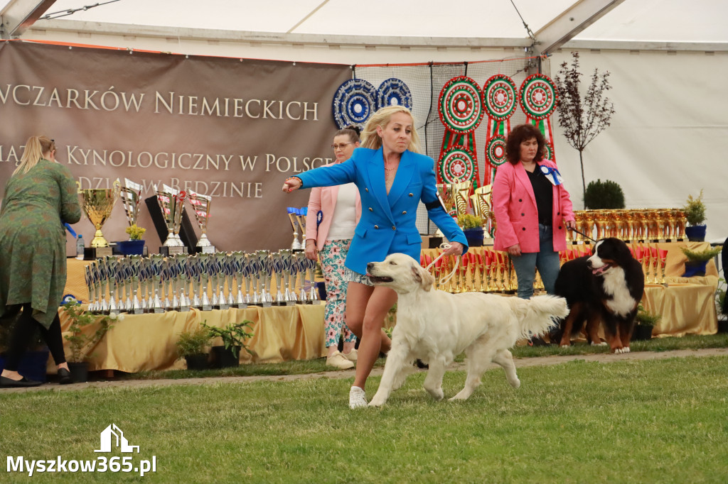 Fotorelacja - Wystawa Psów Rasowych GNIAZDÓW 2024r. SOBOTA I