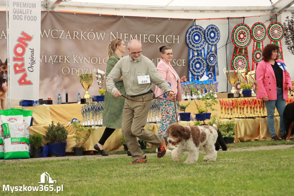 Fotorelacja - Wystawa Psów Rasowych GNIAZDÓW 2024r. SOBOTA I