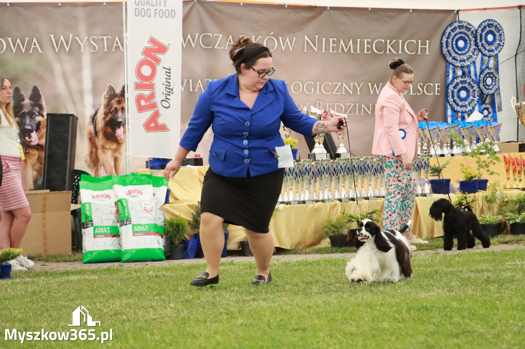 Fotorelacja - Wystawa Psów Rasowych GNIAZDÓW 2024r. SOBOTA I