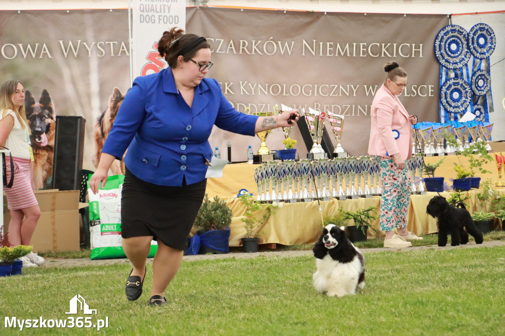 Fotorelacja - Wystawa Psów Rasowych GNIAZDÓW 2024r. SOBOTA I