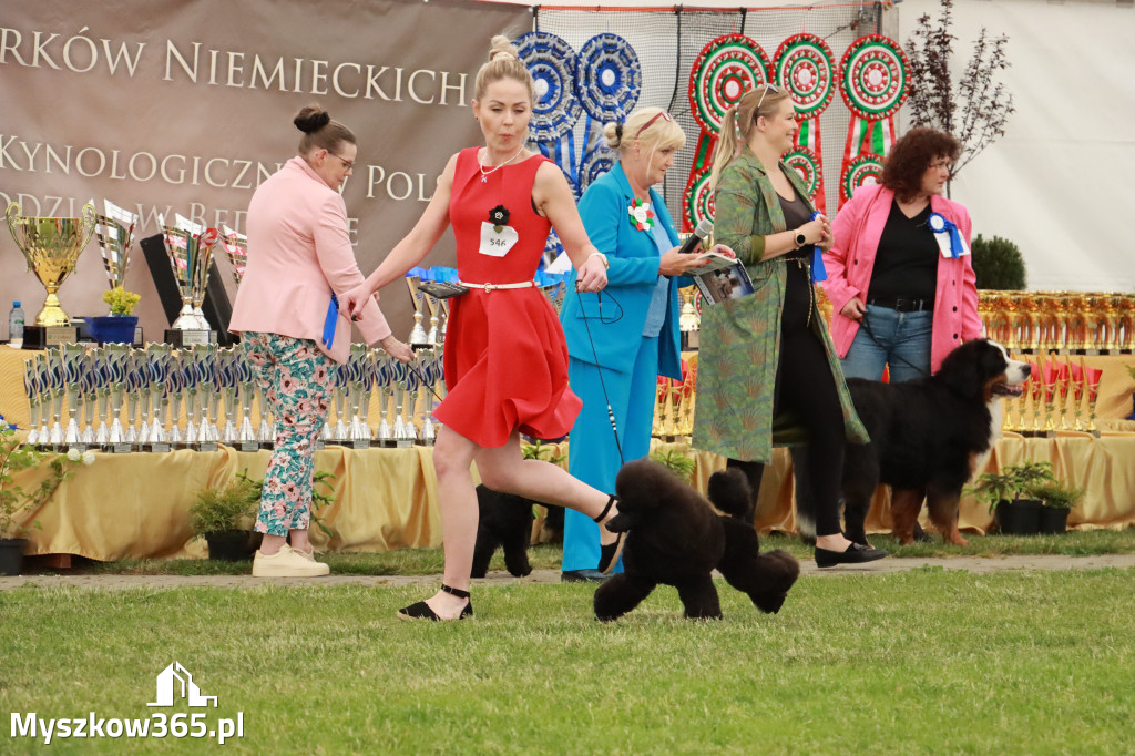 Fotorelacja - Wystawa Psów Rasowych GNIAZDÓW 2024r. SOBOTA I