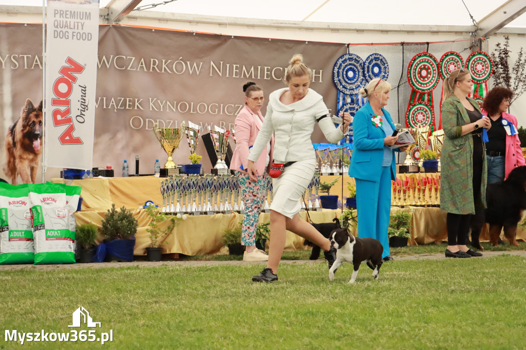 Fotorelacja - Wystawa Psów Rasowych GNIAZDÓW 2024r. SOBOTA I