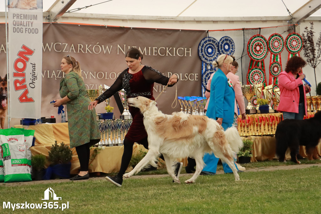 Fotorelacja - Wystawa Psów Rasowych GNIAZDÓW 2024r. SOBOTA I