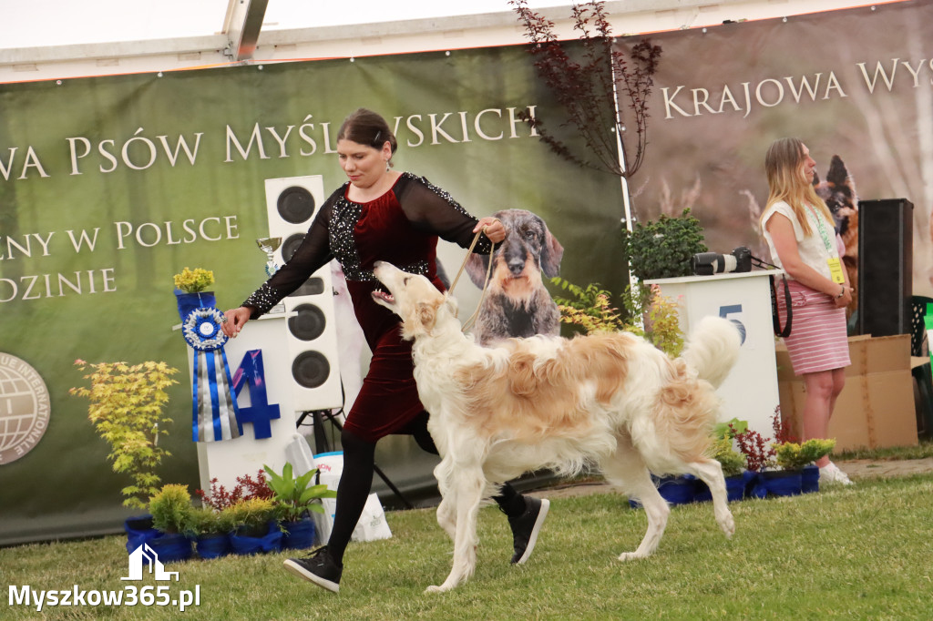 Fotorelacja - Wystawa Psów Rasowych GNIAZDÓW 2024r. SOBOTA I