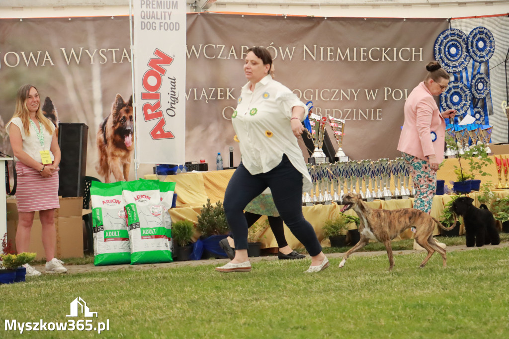 Fotorelacja - Wystawa Psów Rasowych GNIAZDÓW 2024r. SOBOTA I