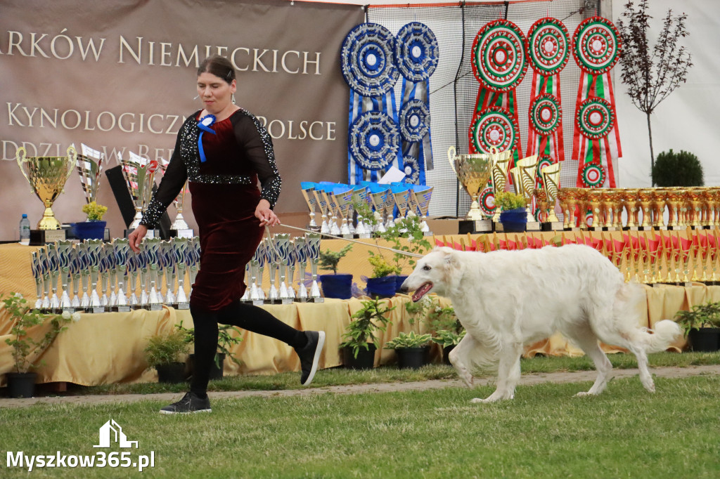 Fotorelacja - Wystawa Psów Rasowych GNIAZDÓW 2024r. SOBOTA I