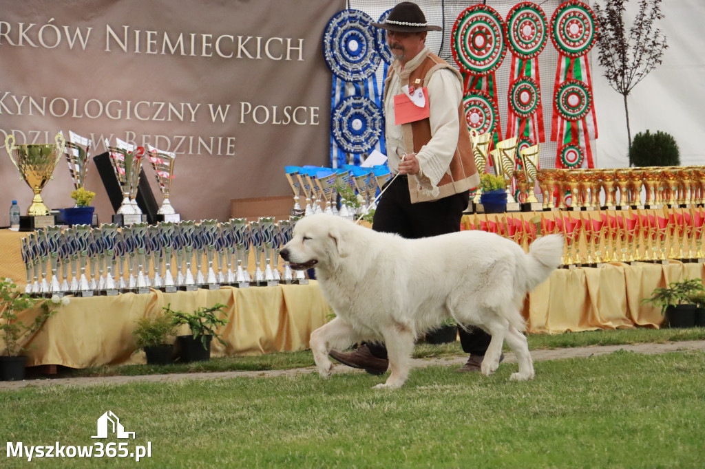 Fotorelacja - Wystawa Psów Rasowych GNIAZDÓW 2024r. SOBOTA I