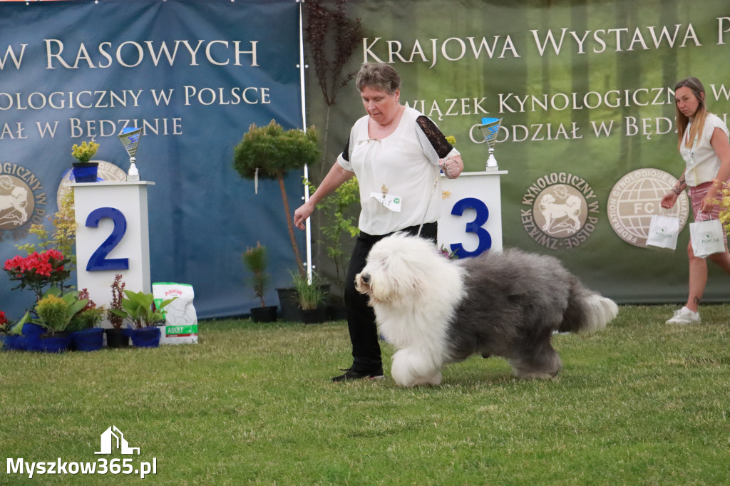 Fotorelacja - Wystawa Psów Rasowych GNIAZDÓW 2024r. SOBOTA I