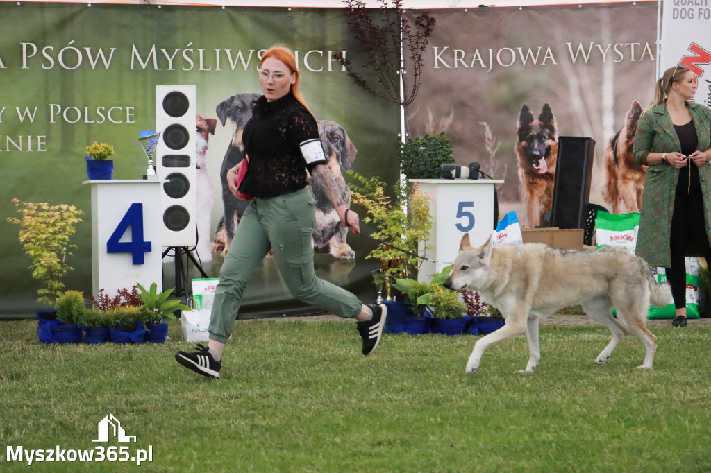 Fotorelacja - Wystawa Psów Rasowych GNIAZDÓW 2024r. SOBOTA I