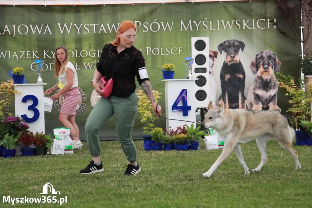 Fotorelacja - Wystawa Psów Rasowych GNIAZDÓW 2024r. SOBOTA I