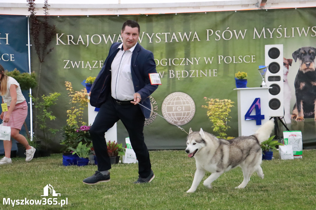 Fotorelacja - Wystawa Psów Rasowych GNIAZDÓW 2024r. SOBOTA II