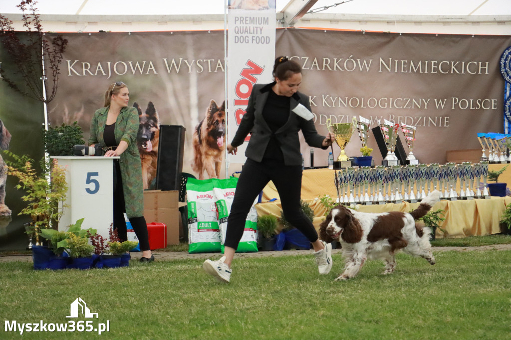 Fotorelacja - Wystawa Psów Rasowych GNIAZDÓW 2024r. SOBOTA II