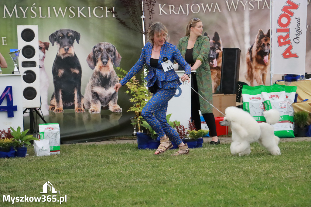 Fotorelacja - Wystawa Psów Rasowych GNIAZDÓW 2024r. SOBOTA II