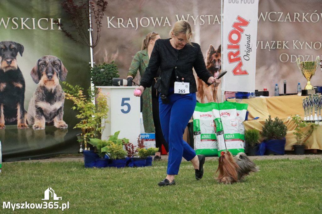 Fotorelacja - Wystawa Psów Rasowych GNIAZDÓW 2024r. SOBOTA II