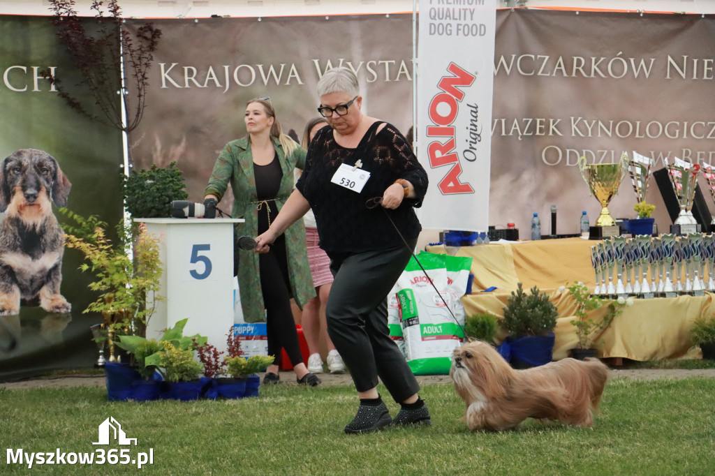 Fotorelacja - Wystawa Psów Rasowych GNIAZDÓW 2024r. SOBOTA II