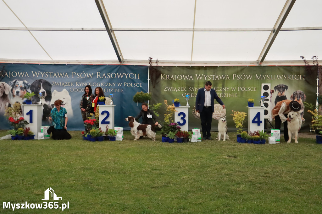 Fotorelacja - Wystawa Psów Rasowych GNIAZDÓW 2024r. SOBOTA II