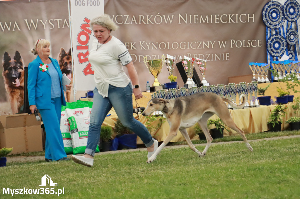 Fotorelacja - Wystawa Psów Rasowych GNIAZDÓW 2024r. SOBOTA II