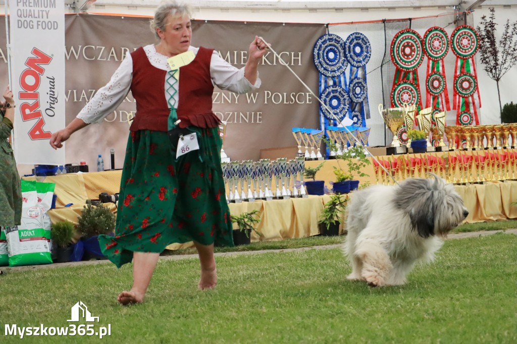 Fotorelacja - Wystawa Psów Rasowych GNIAZDÓW 2024r. SOBOTA II