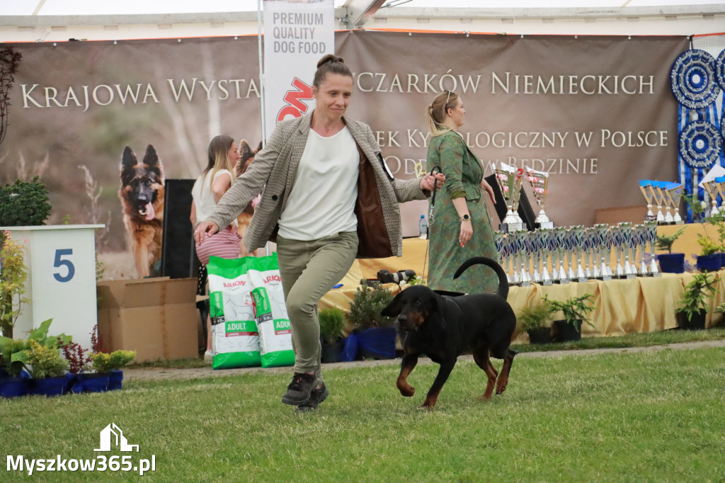 Fotorelacja - Wystawa Psów Rasowych GNIAZDÓW 2024r. SOBOTA II