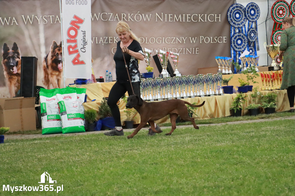 Fotorelacja - Wystawa Psów Rasowych GNIAZDÓW 2024r. SOBOTA II