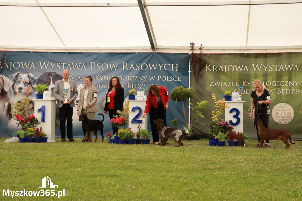 Fotorelacja - Wystawa Psów Rasowych GNIAZDÓW 2024r. SOBOTA II