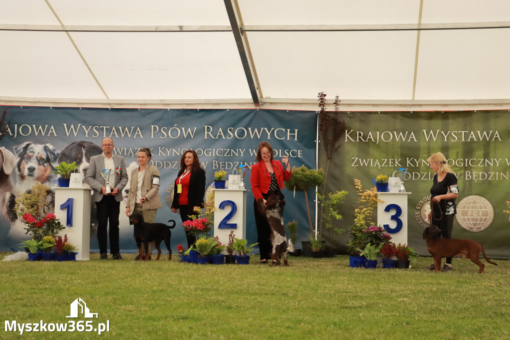 Fotorelacja - Wystawa Psów Rasowych GNIAZDÓW 2024r. SOBOTA II