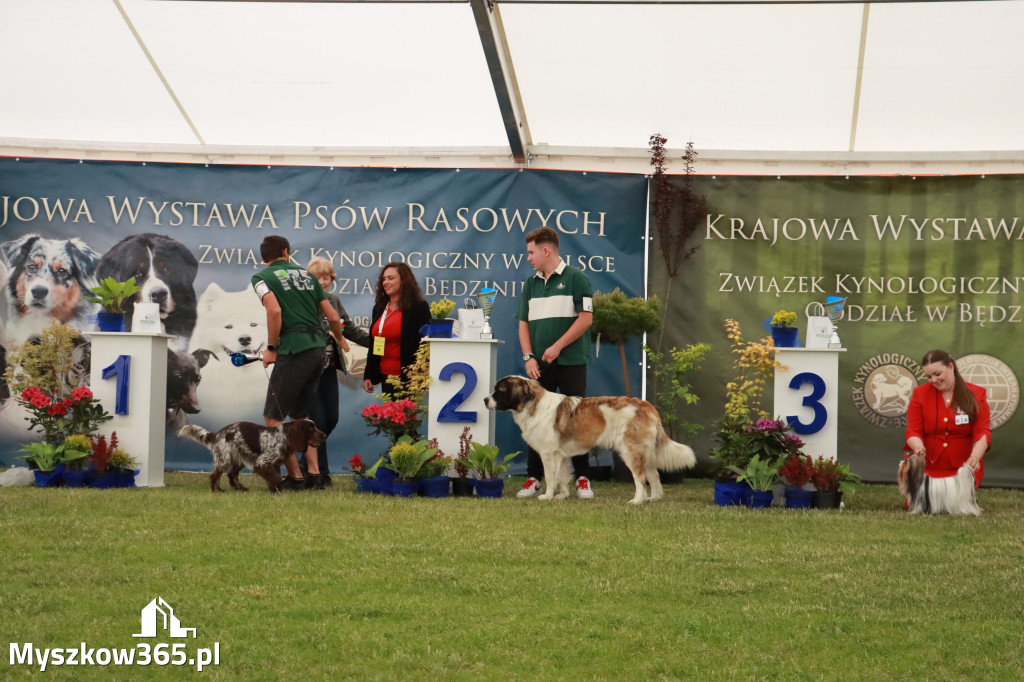 Fotorelacja - Wystawa Psów Rasowych GNIAZDÓW 2024r. SOBOTA II