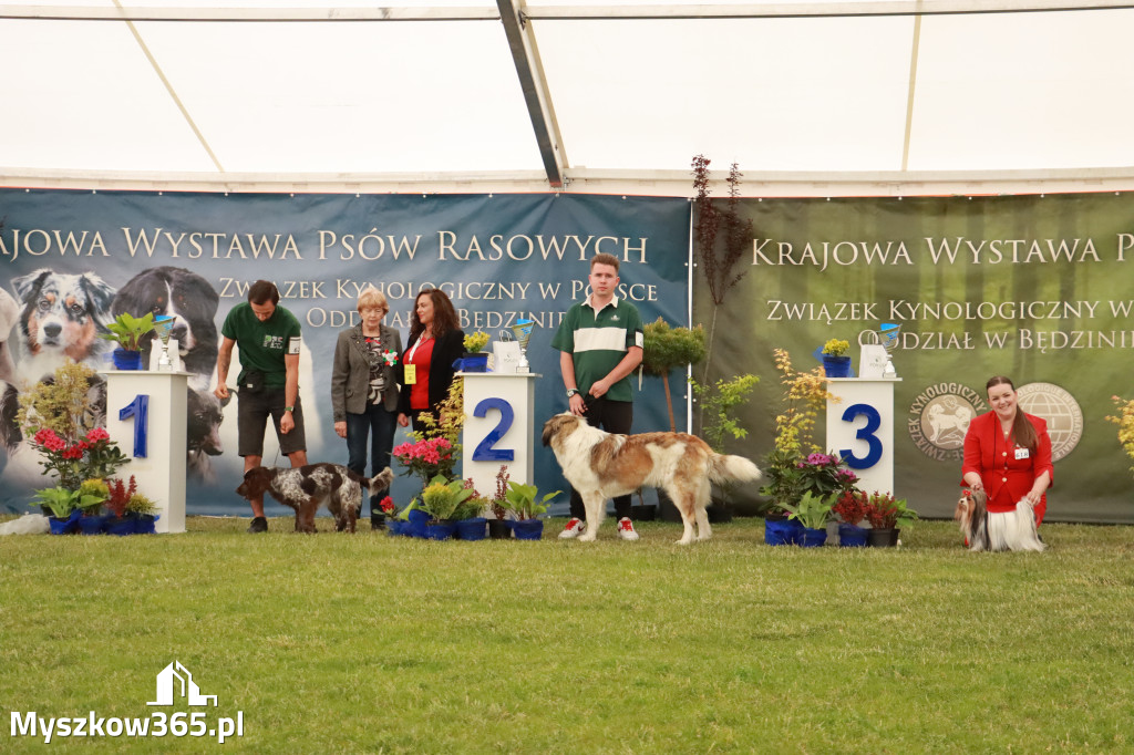 Fotorelacja - Wystawa Psów Rasowych GNIAZDÓW 2024r. SOBOTA II