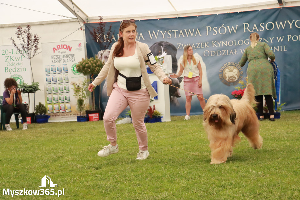 Fotorelacja - Wystawa Psów Rasowych GNIAZDÓW 2024r. SOBOTA II