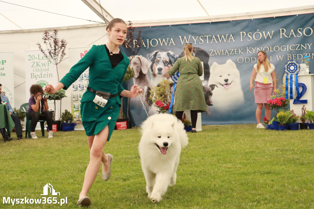 Fotorelacja - Wystawa Psów Rasowych GNIAZDÓW 2024r. SOBOTA II