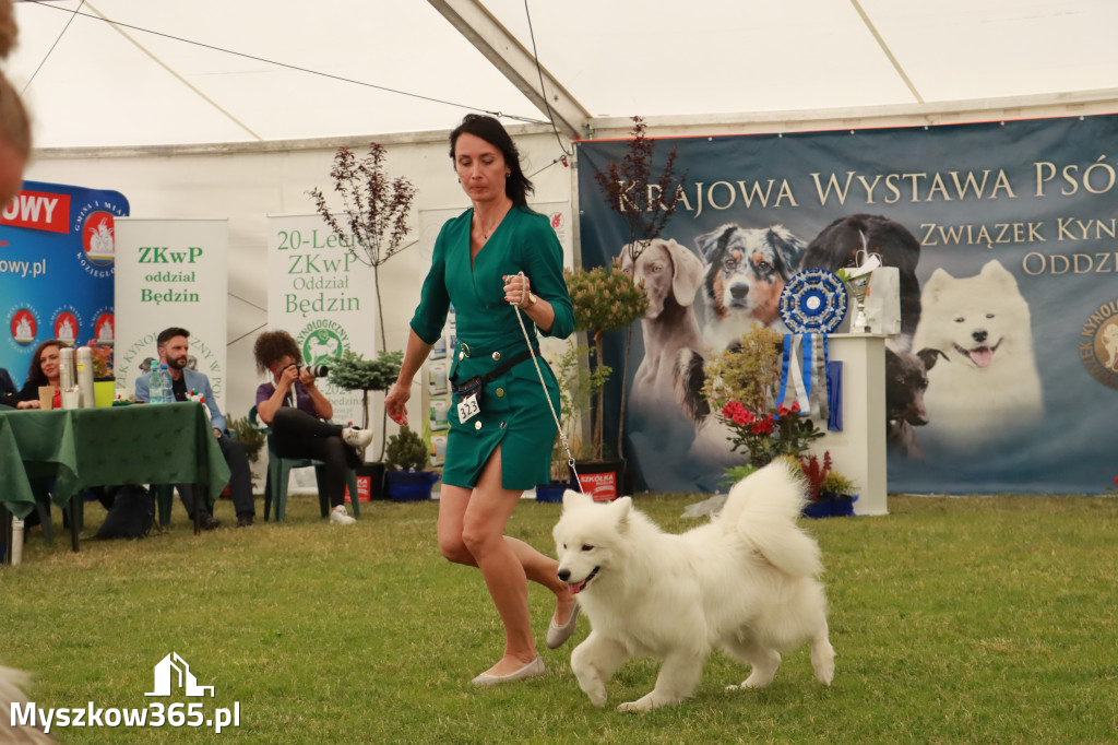 Fotorelacja - Wystawa Psów Rasowych GNIAZDÓW 2024r. SOBOTA II