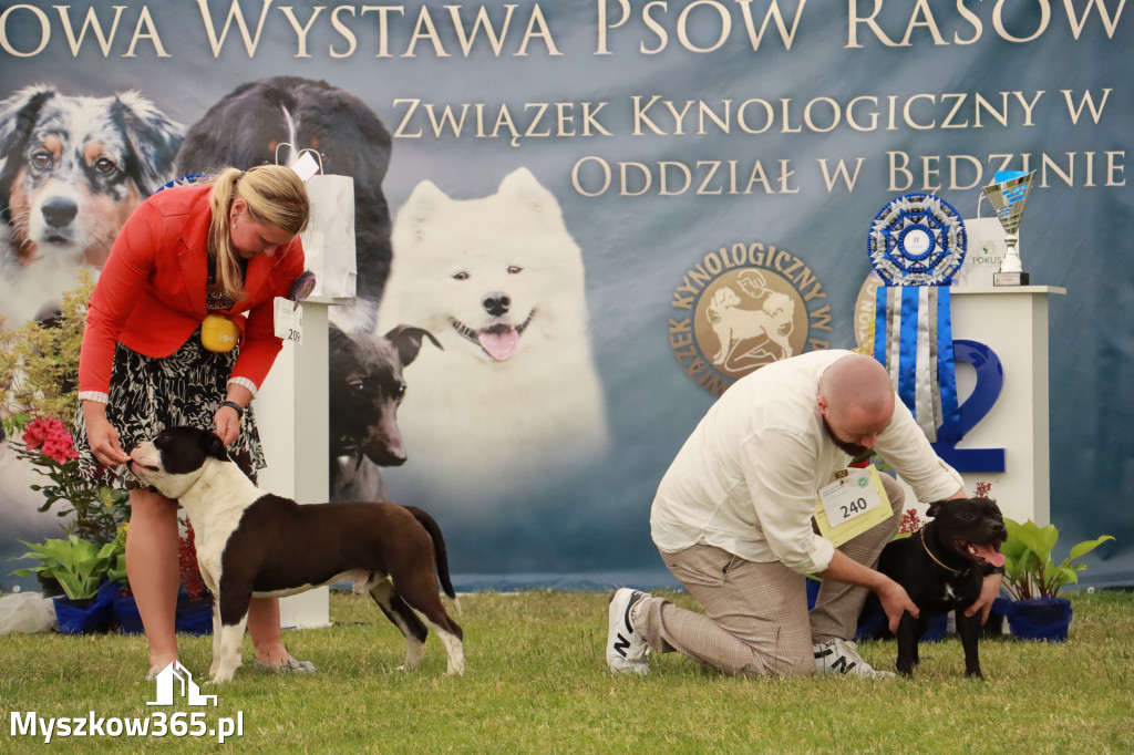 Fotorelacja - Wystawa Psów Rasowych GNIAZDÓW 2024r. SOBOTA II