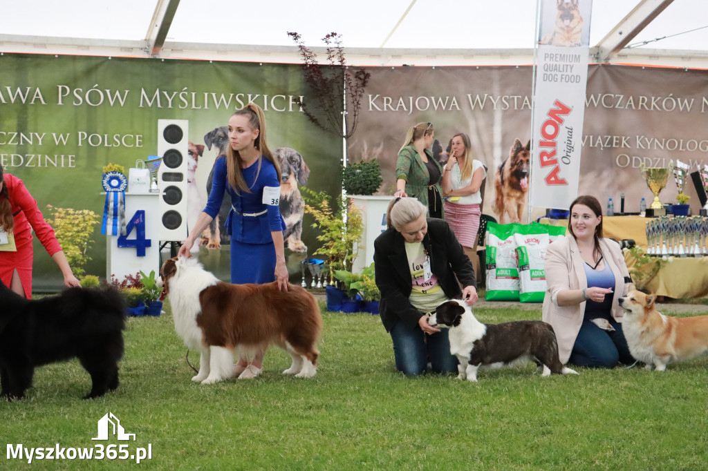 Fotorelacja - Wystawa Psów Rasowych GNIAZDÓW 2024r. SOBOTA II