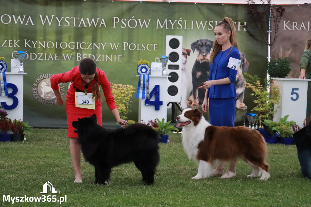 Fotorelacja - Wystawa Psów Rasowych GNIAZDÓW 2024r. SOBOTA II