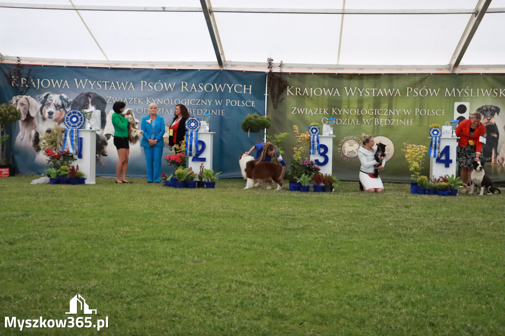 Fotorelacja - Wystawa Psów Rasowych GNIAZDÓW 2024r. SOBOTA II