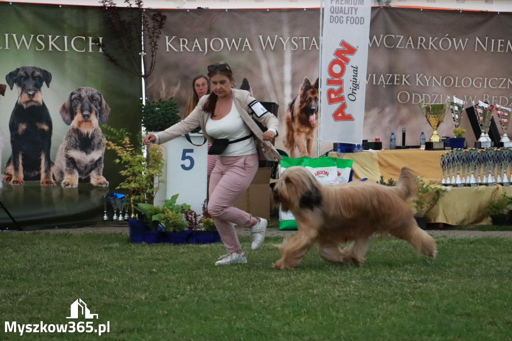 Fotorelacja - Wystawa Psów Rasowych GNIAZDÓW 2024r. SOBOTA II