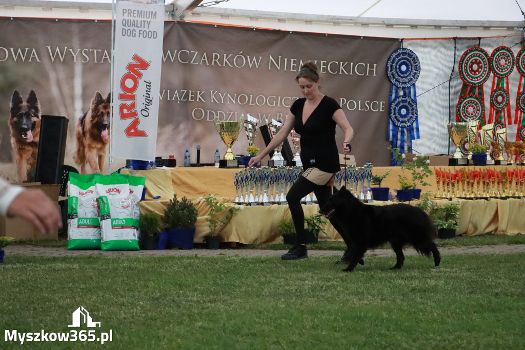 Fotorelacja - Wystawa Psów Rasowych GNIAZDÓW 2024r. SOBOTA II