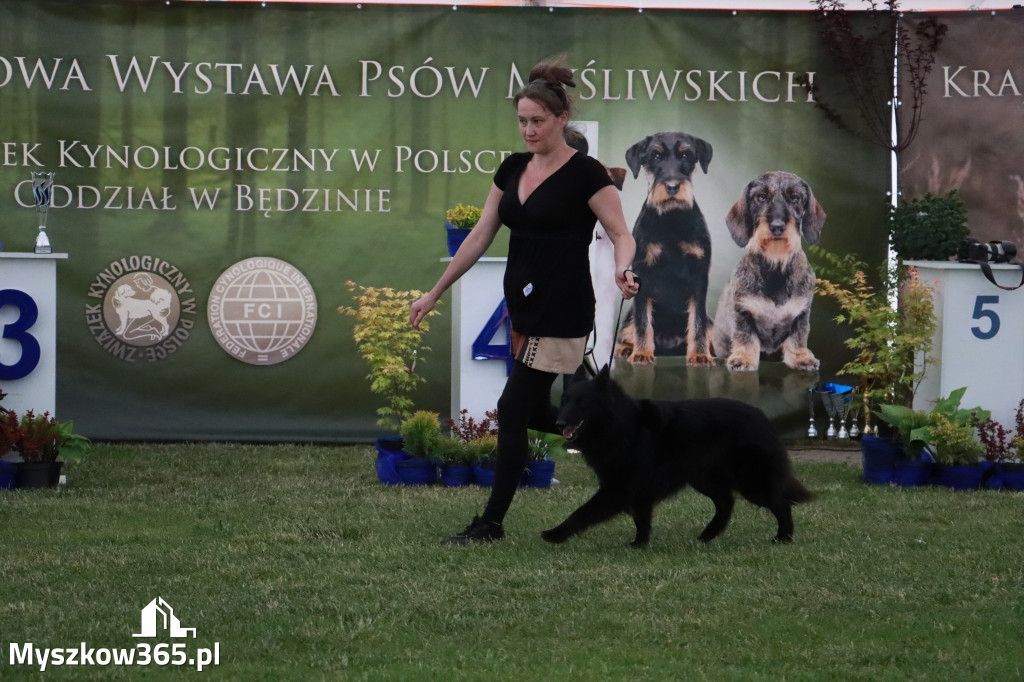 Fotorelacja - Wystawa Psów Rasowych GNIAZDÓW 2024r. SOBOTA II