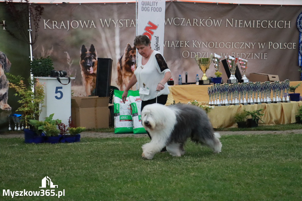 Fotorelacja - Wystawa Psów Rasowych GNIAZDÓW 2024r. SOBOTA II