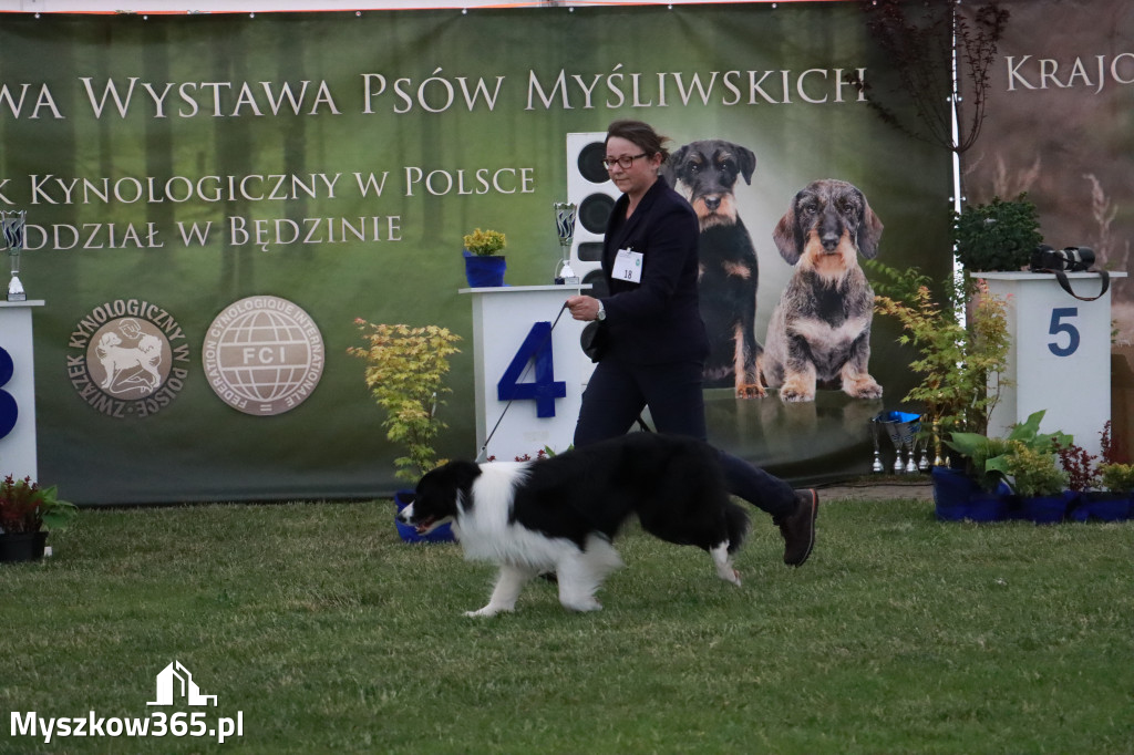 Fotorelacja - Wystawa Psów Rasowych GNIAZDÓW 2024r. SOBOTA II