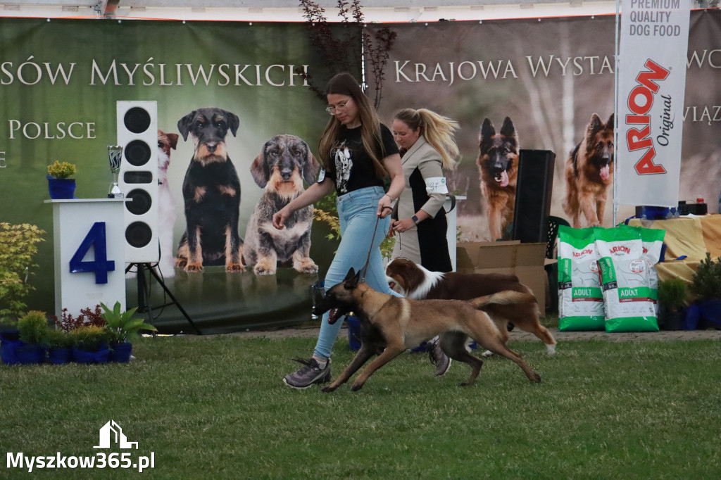 Fotorelacja - Wystawa Psów Rasowych GNIAZDÓW 2024r. SOBOTA II