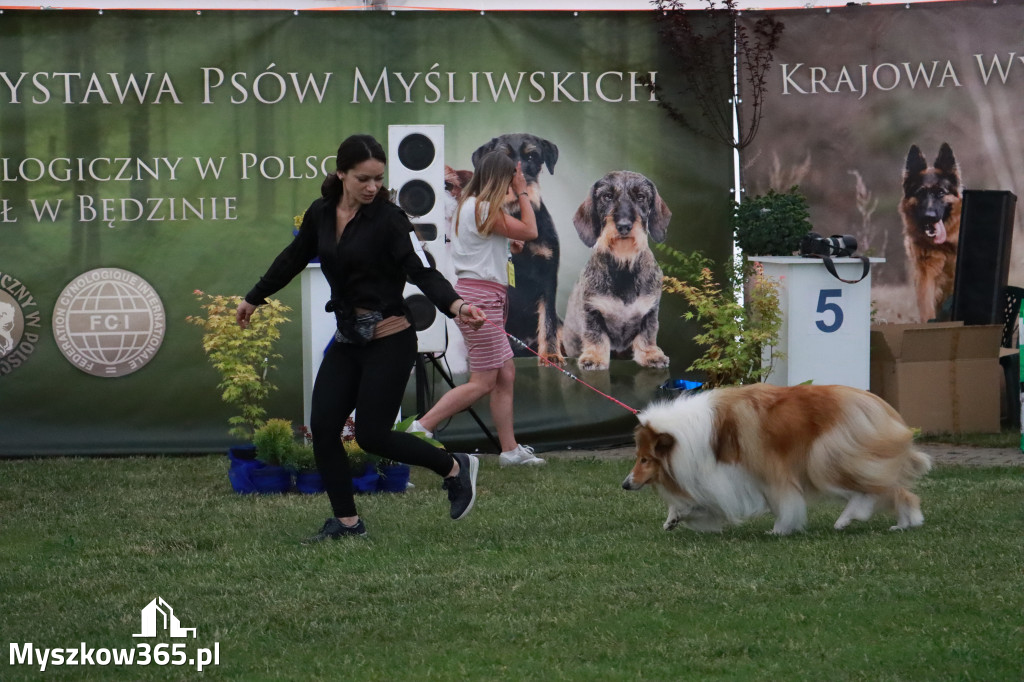 Fotorelacja - Wystawa Psów Rasowych GNIAZDÓW 2024r. SOBOTA II